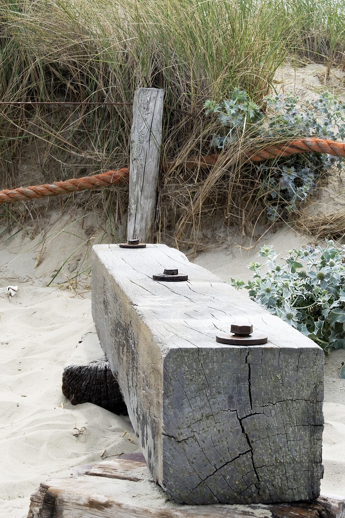 Texelduinen 
