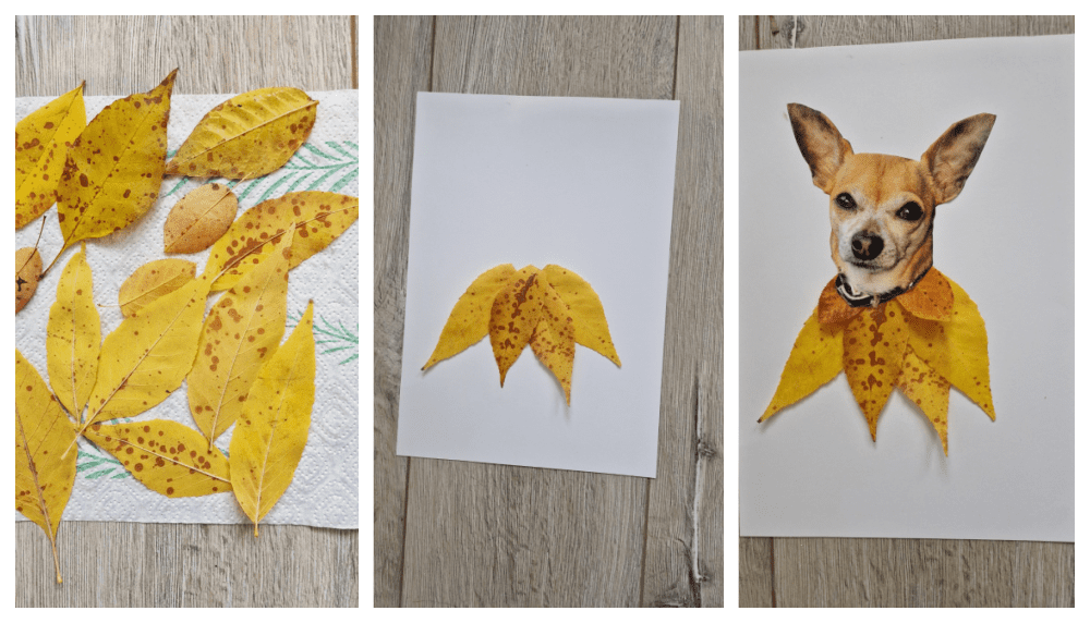 Instructies : voor 1 diy portret