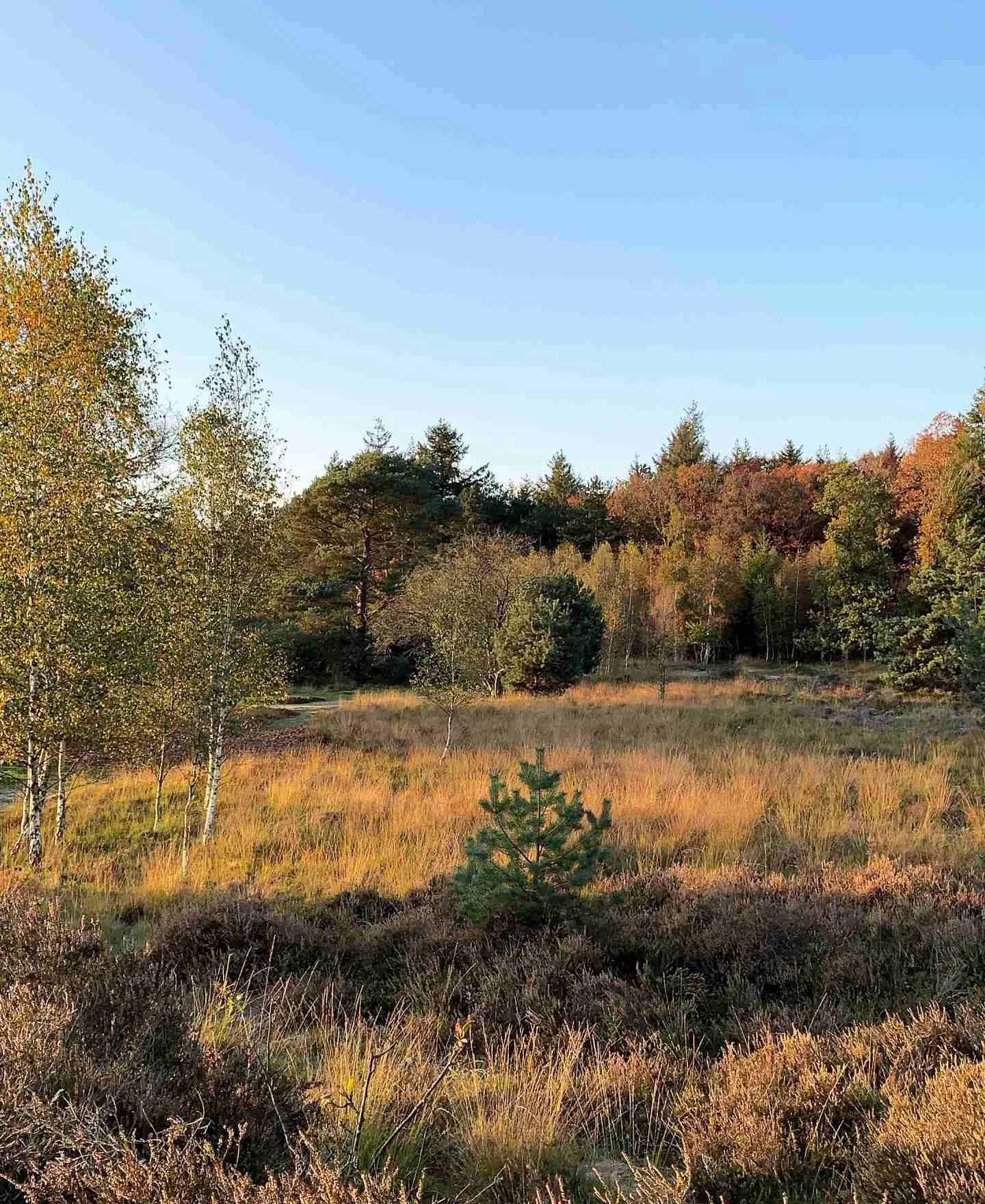 Mijn eerste samenvatting : Oktober | foto van Sanne