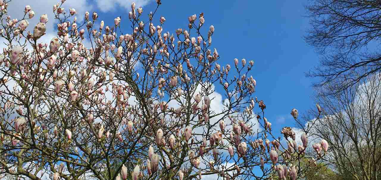 favoriete seizoen foto