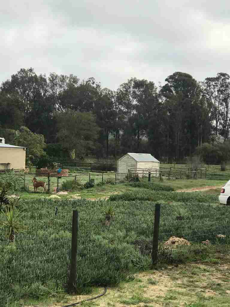 favoriete seizoen foto