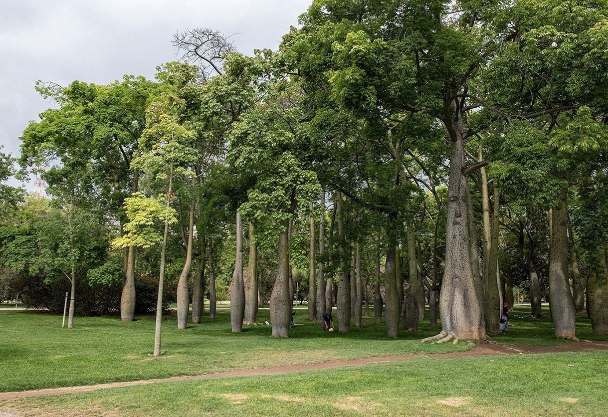 Jardín del Turia Valencia
