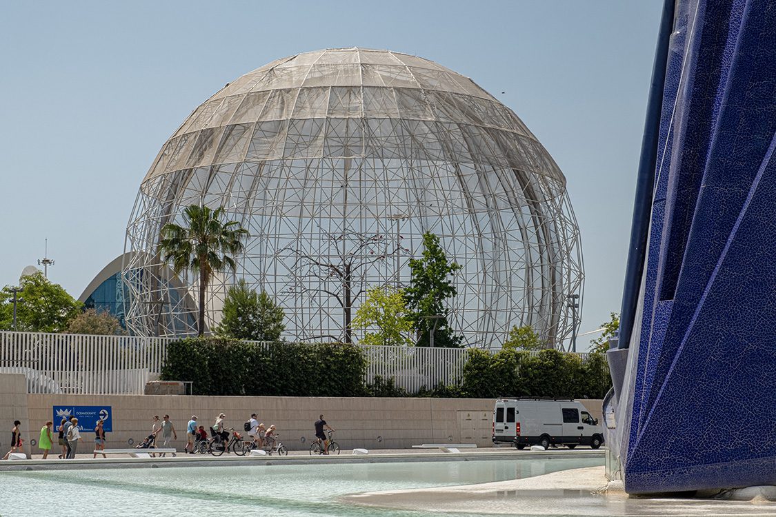 Vogelkooi in Valencia
